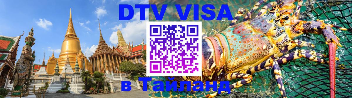 Оформление DTV визы под ключ: стоимость и тарифы, только загранпаспорт - Загреб  21.11.2025 